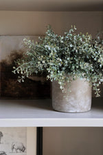 faux potted eucalyptus bush plant on a white shelf with blurred backgtound 