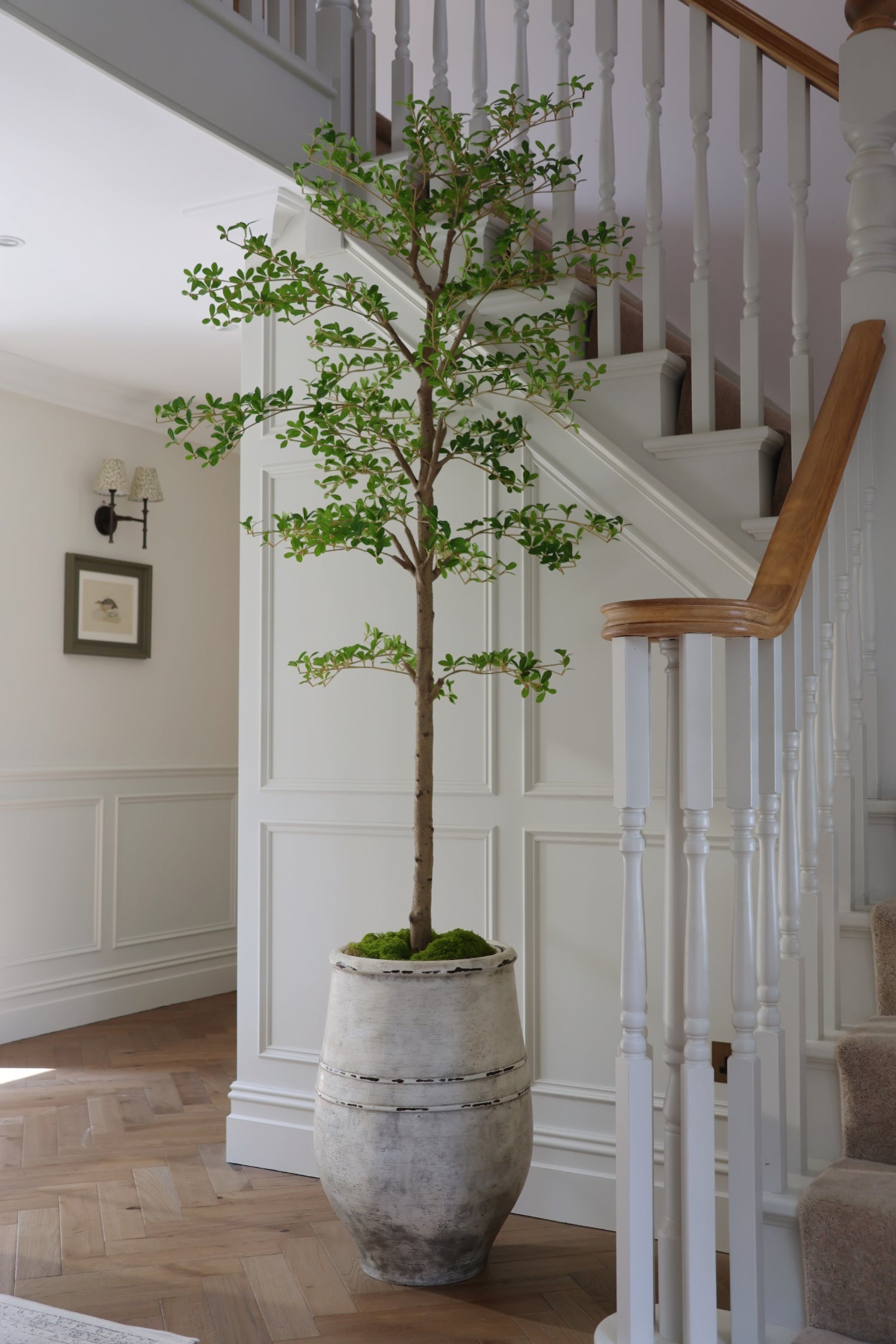 Tall artificial japanese quince tree in beige planters in a hallway next to stairs