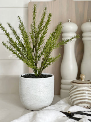 Faux Potted Rosemary Plant