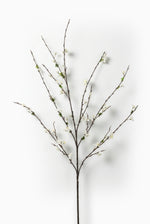 Artificial blossom branch with white flowers on a white background