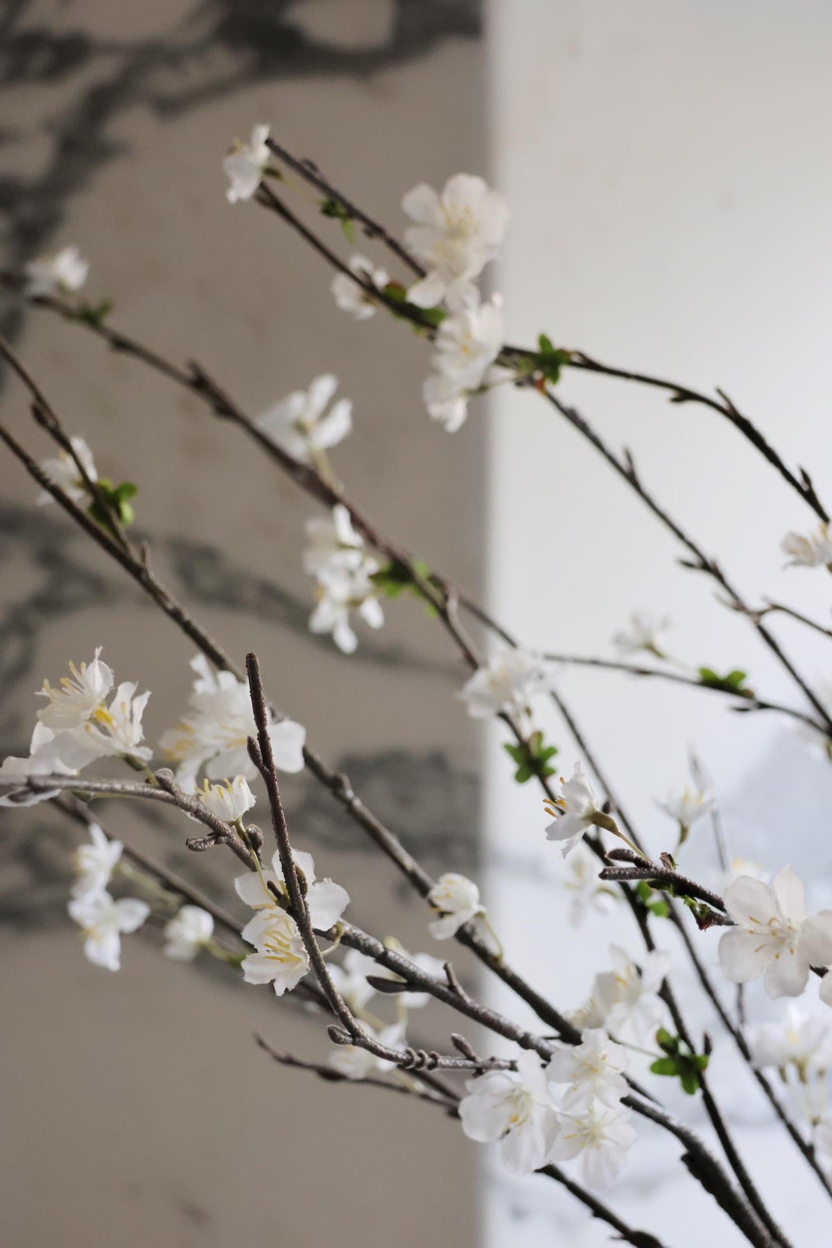 faux sakura blossom stem close up of white flowers on brown branch