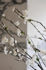 faux sakura blossom stem close up of white flowers on brown branch