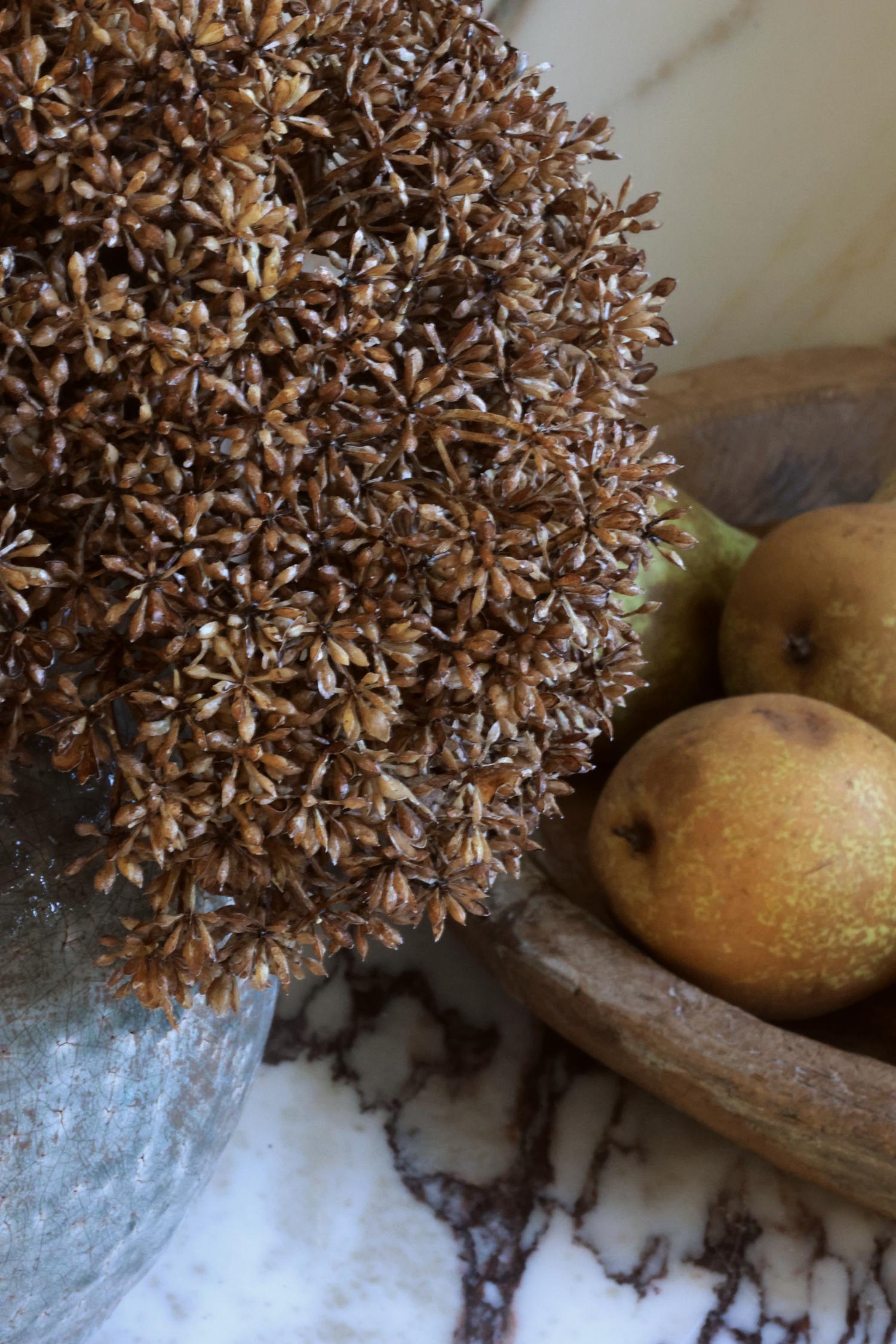 close up of faux dried brown stem with a wooden bowl of pears in the background 