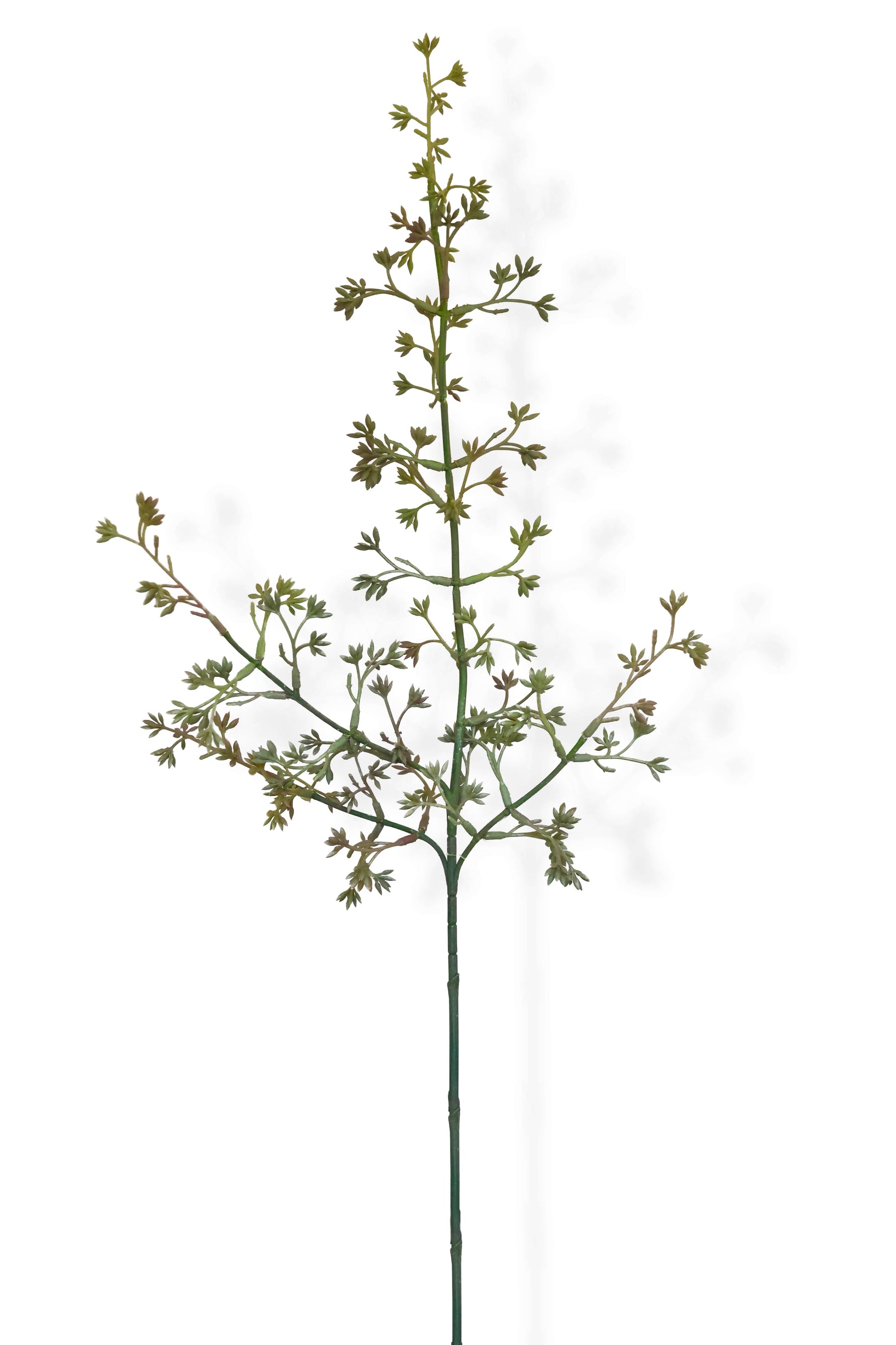 Artificial seeded stem with green leaves on a white background
