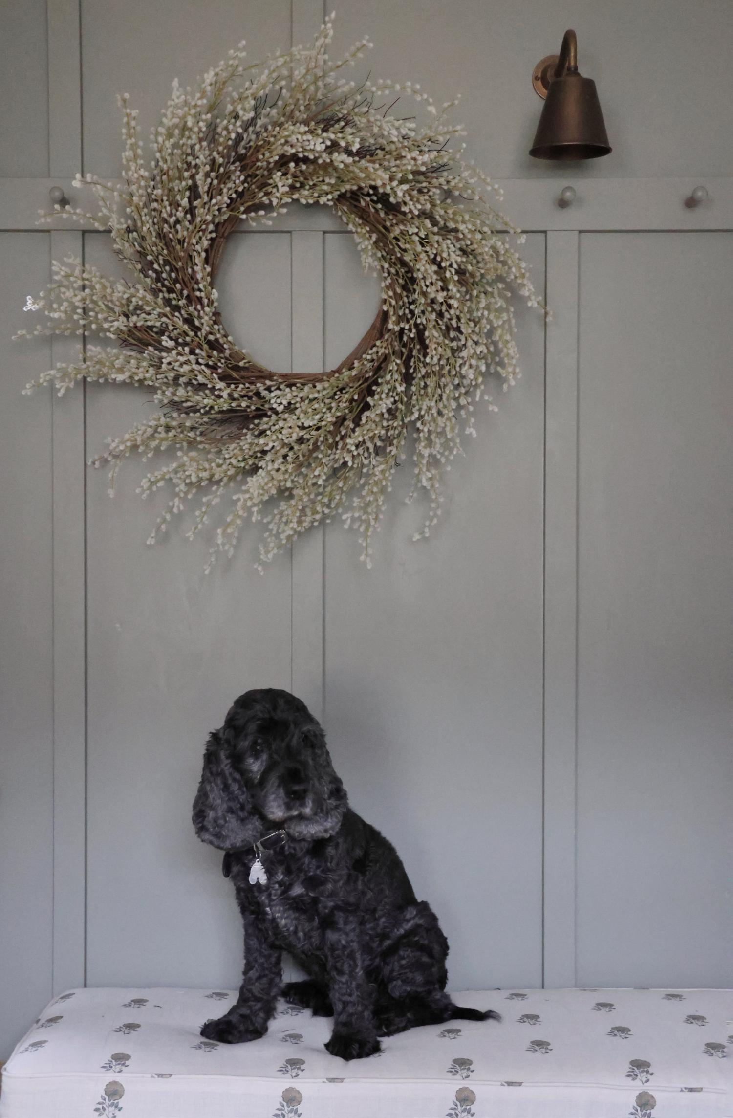  faux white willow wreath hanging on panelled blue walls with a black dog on bench underneath