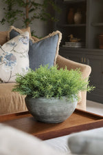Potted artificial spanish moss on a wooden coffee table with a couch and decorative pillows in the background