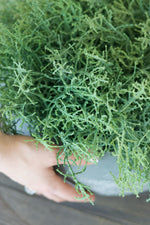 close up of green faux premium spanish moss 