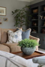 Living room with beige sofa, decorative cushions, and a potted plant on a wooden tray, on a coffee table.