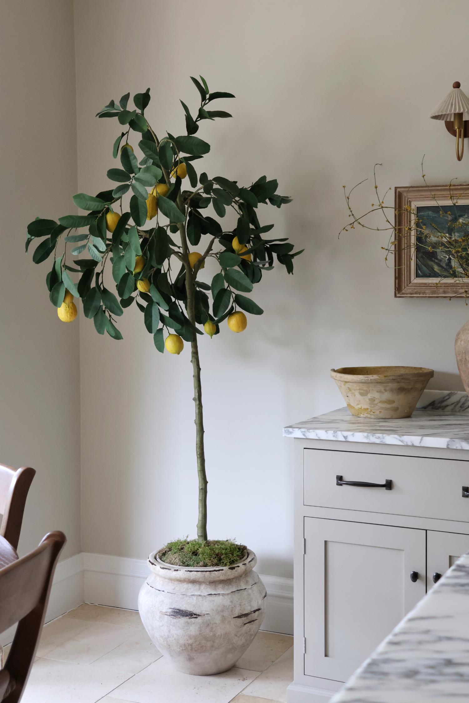 Artificial luxury lemon tree with large green leaves and yellow lemons set in a beige stone effect planter in a kitchen