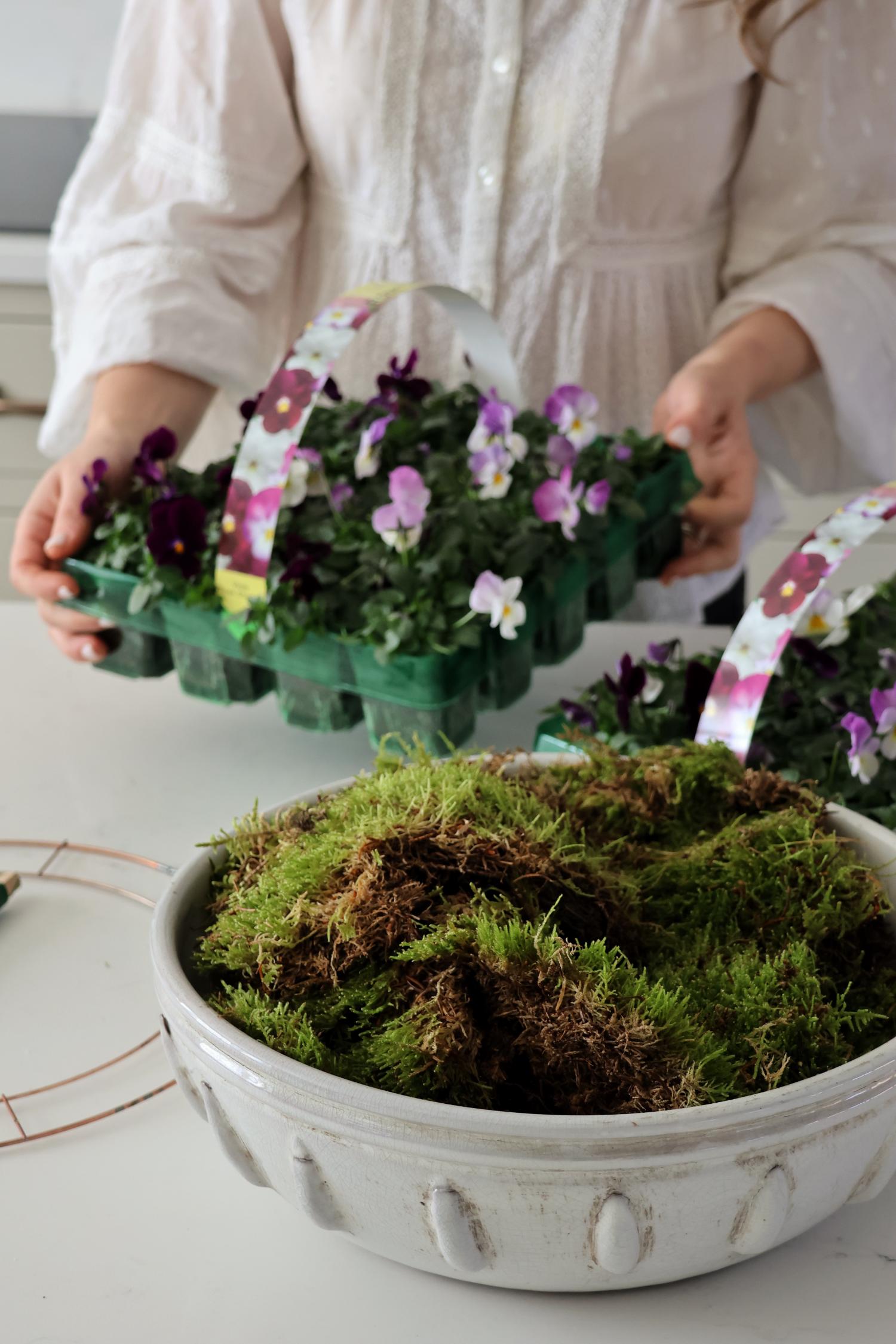 living carpet moss in a large white ceramic planters