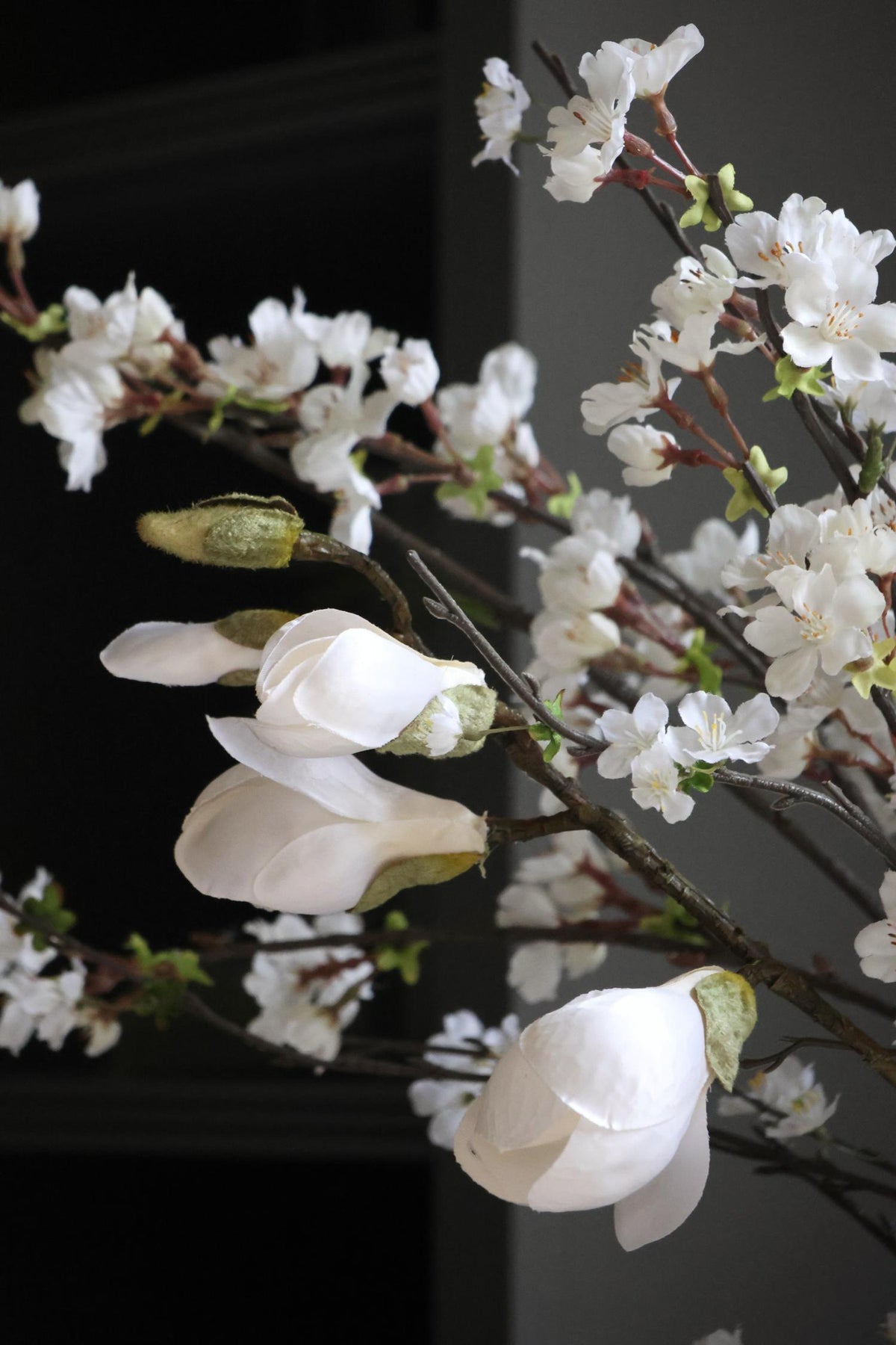 magnolia and blossom branches on dark background