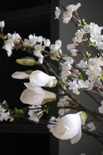 magnolia and blossom branches on dark background