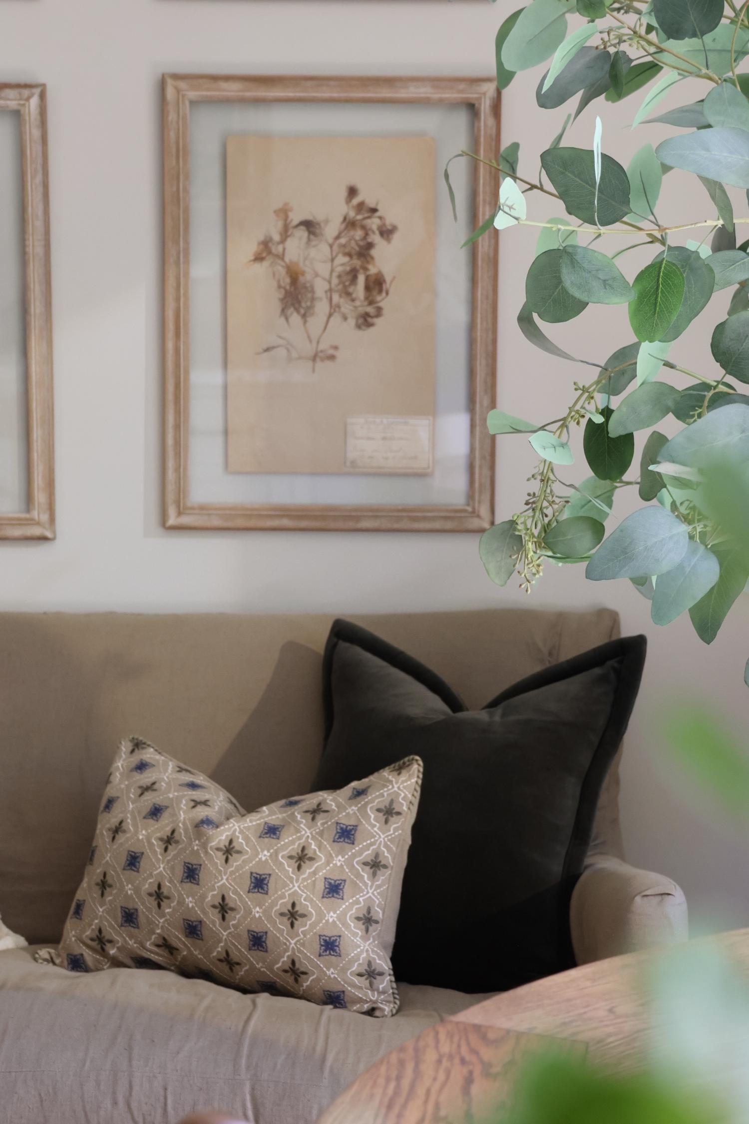 two decorative cushions on a green sofa with art and plant in background 