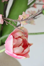 Close-up of a pink tulip flower with a blurred green background