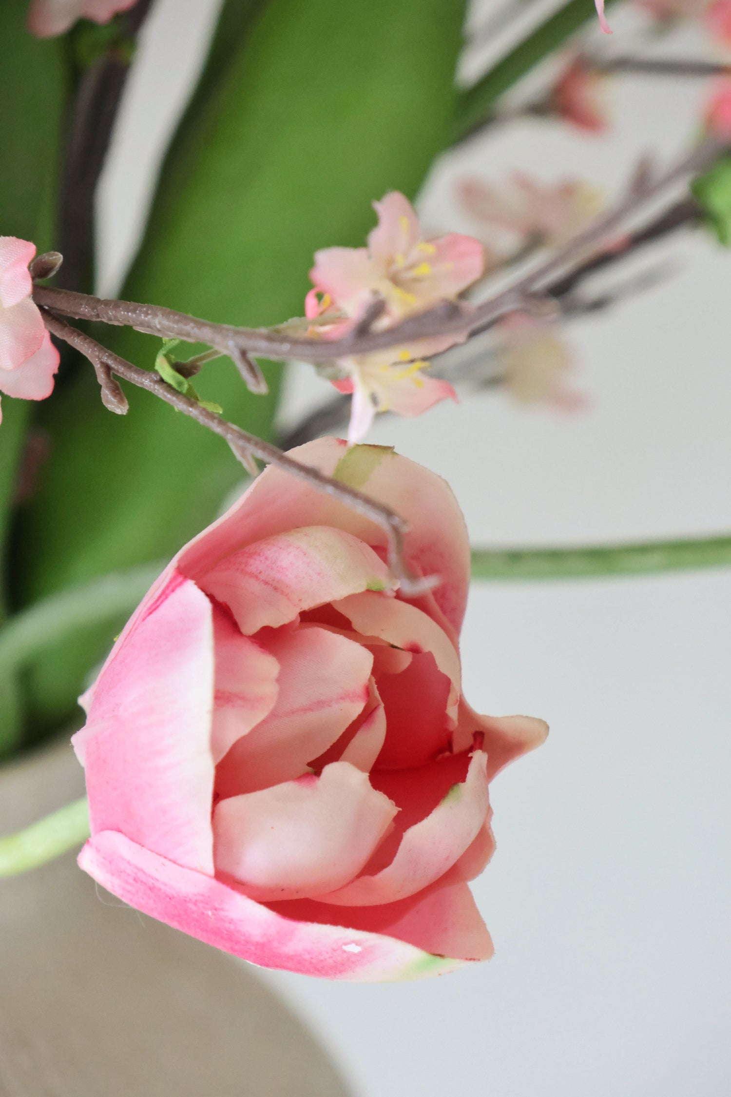 Close-up of a pink tulip flower with a blurred green background