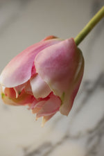 Close-up of a pink flower bud with a blurred background