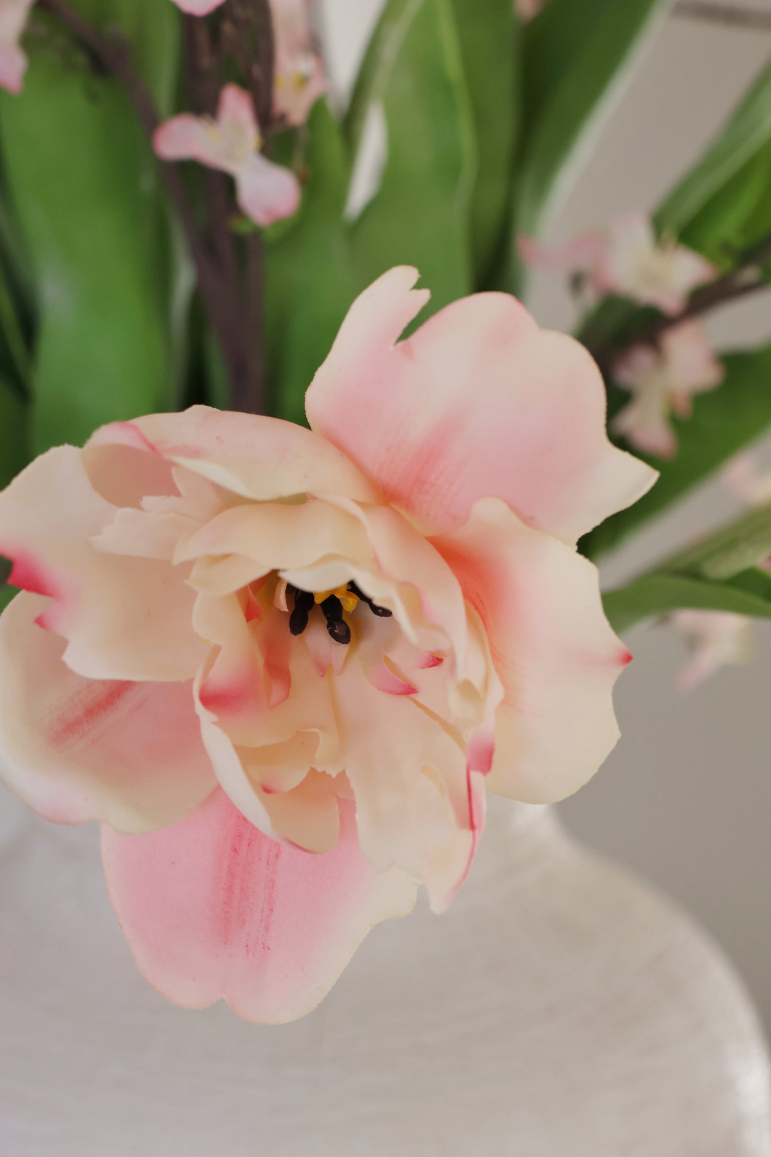 Close-up of a pink tulip with a blurred background