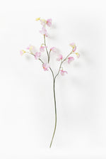 Artificial pink sweetpea stem on a white background