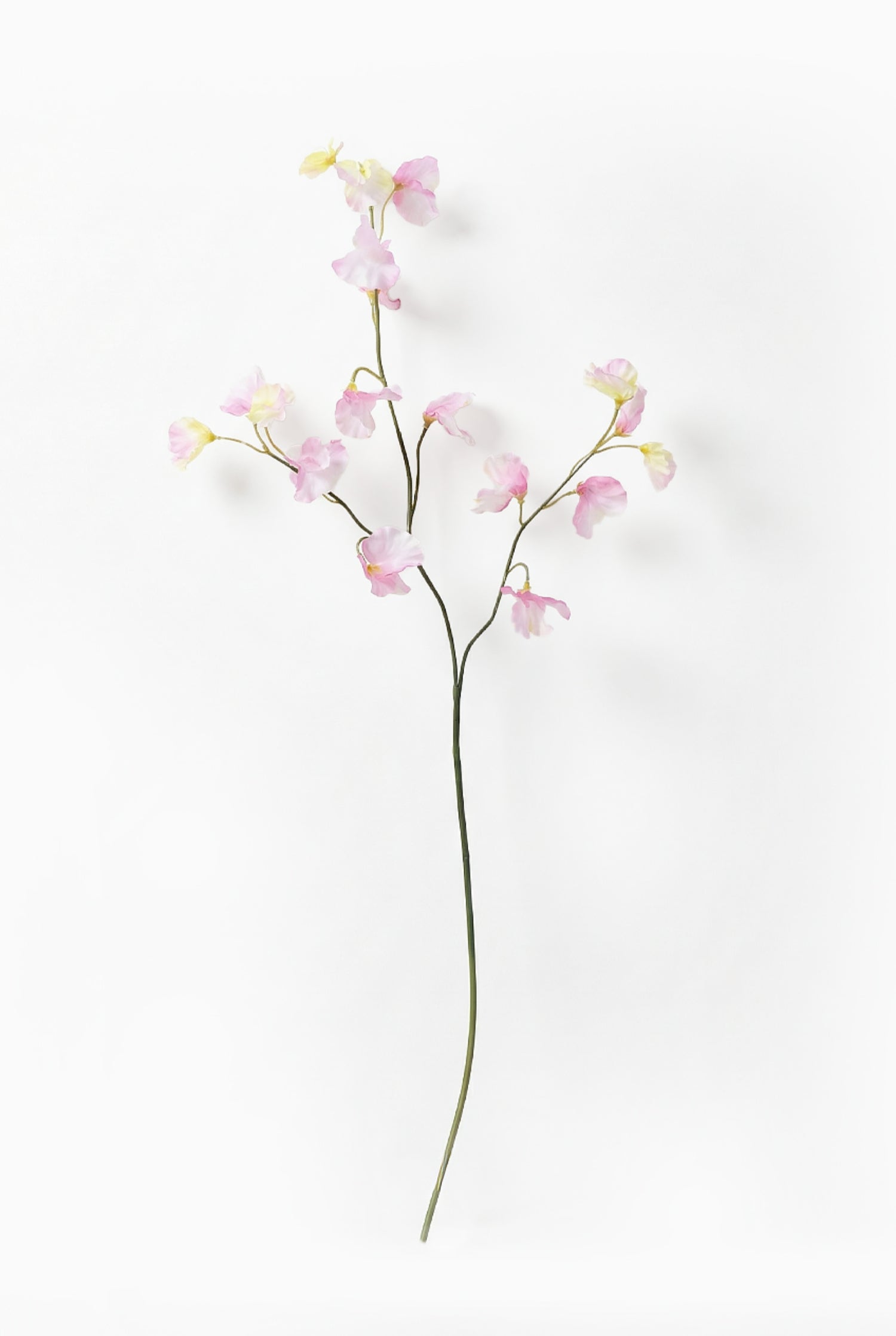 Artificial pink sweetpea stem on a white background