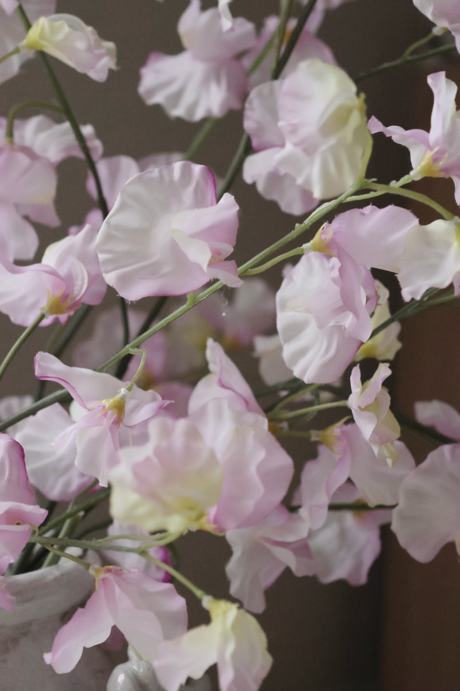 Close-up of pink sweetpea flowers with a blurred background