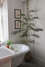 Bathroom with a freestanding bathtub, potted shady lady tree, and framed pictures on the wall.