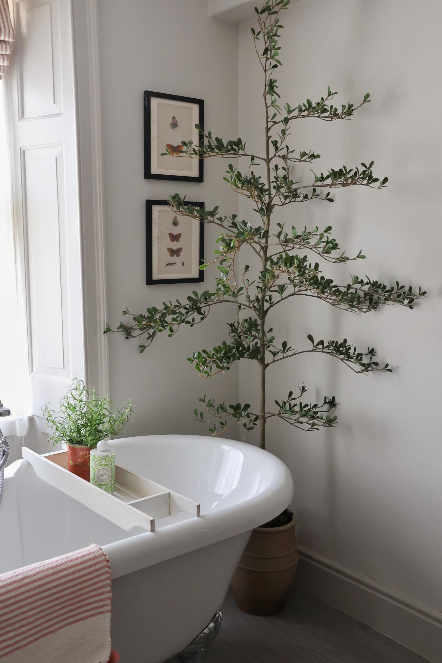 Bathroom with a freestanding bathtub, potted shady lady tree, and framed pictures on the wall.