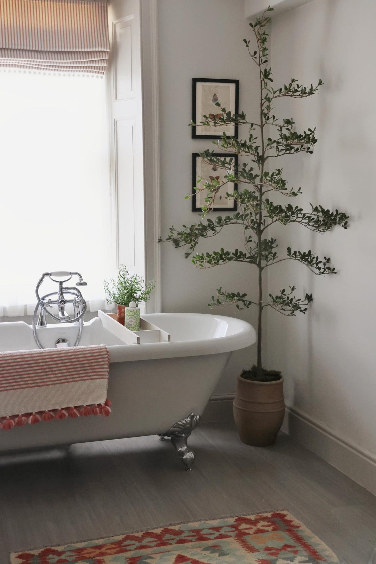 Bathroom with a freestanding bathtub, potted shady lady tree, and decorative rug.