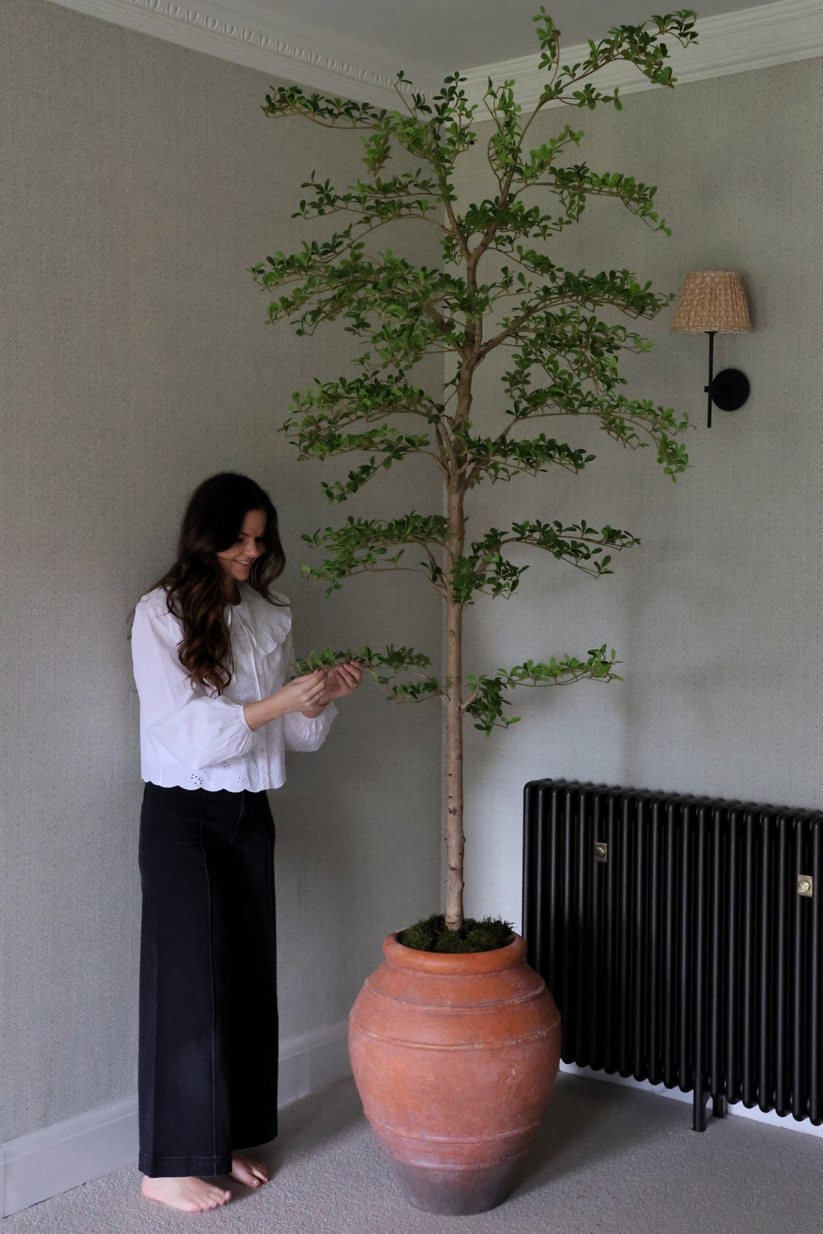 Woman standing next to a large artificial shady lady tree in terracotta planter in a room with a radiator.
