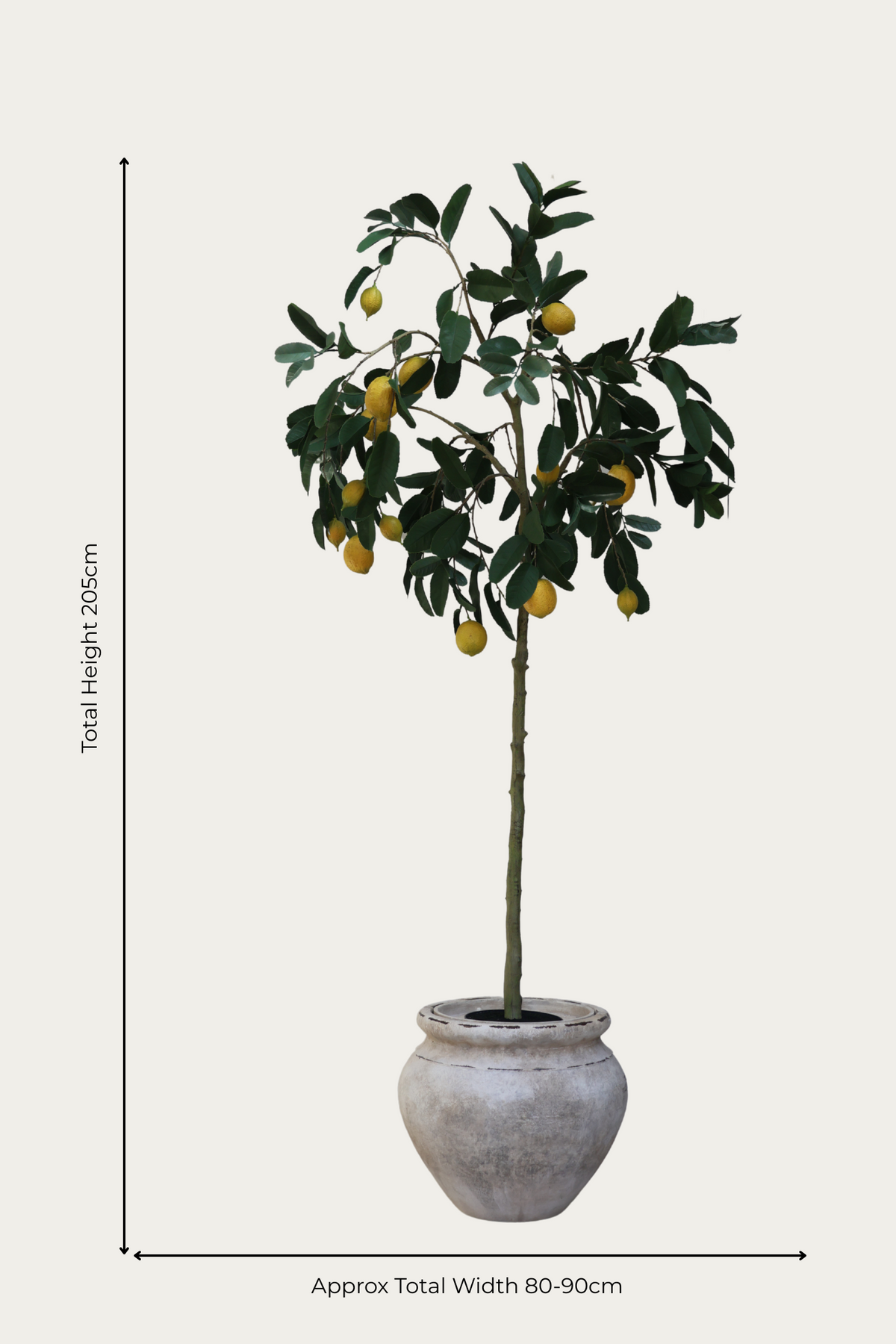 faux lemon tree in barrow planter on white background 