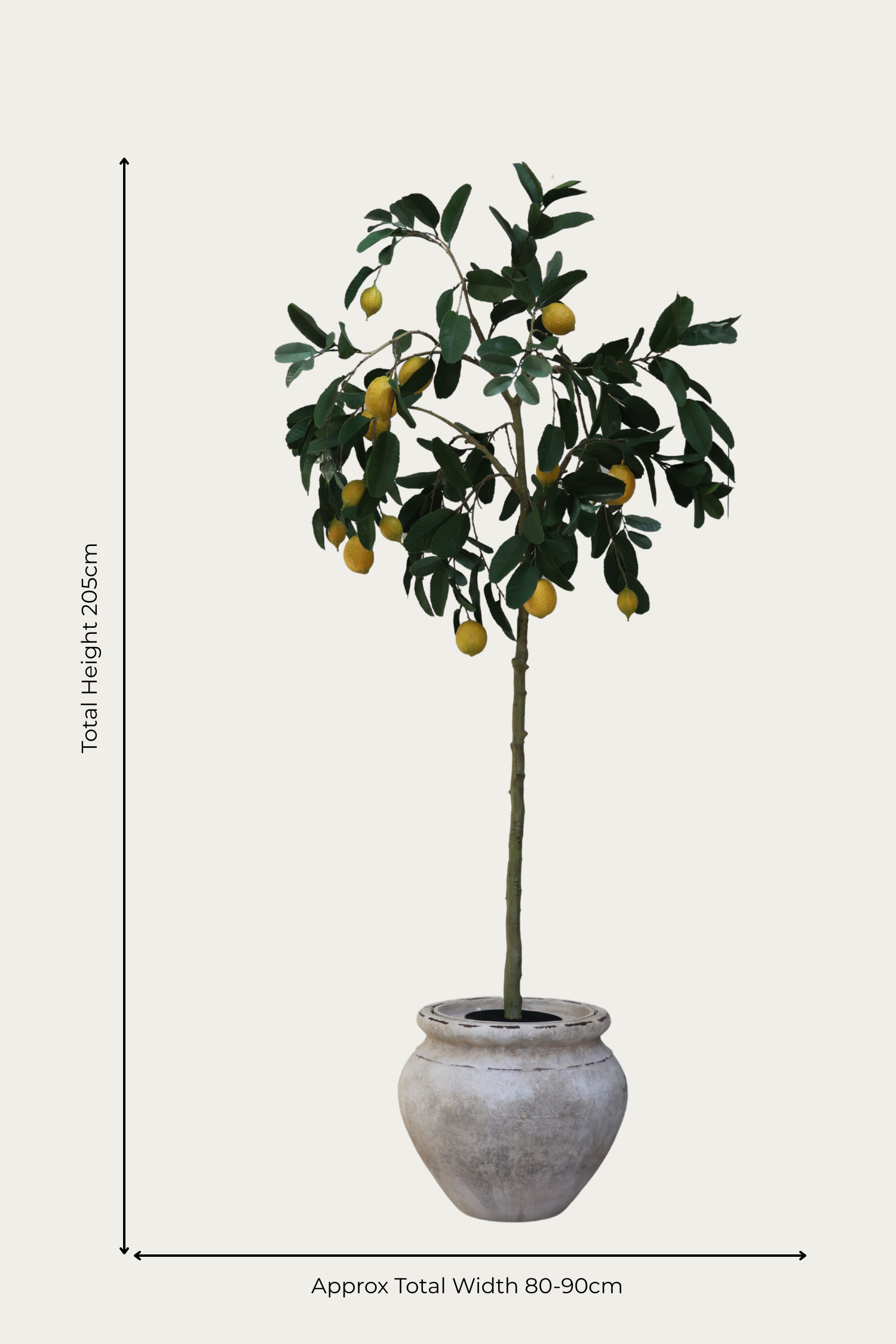 faux lemon tree in barrow planter on white background 