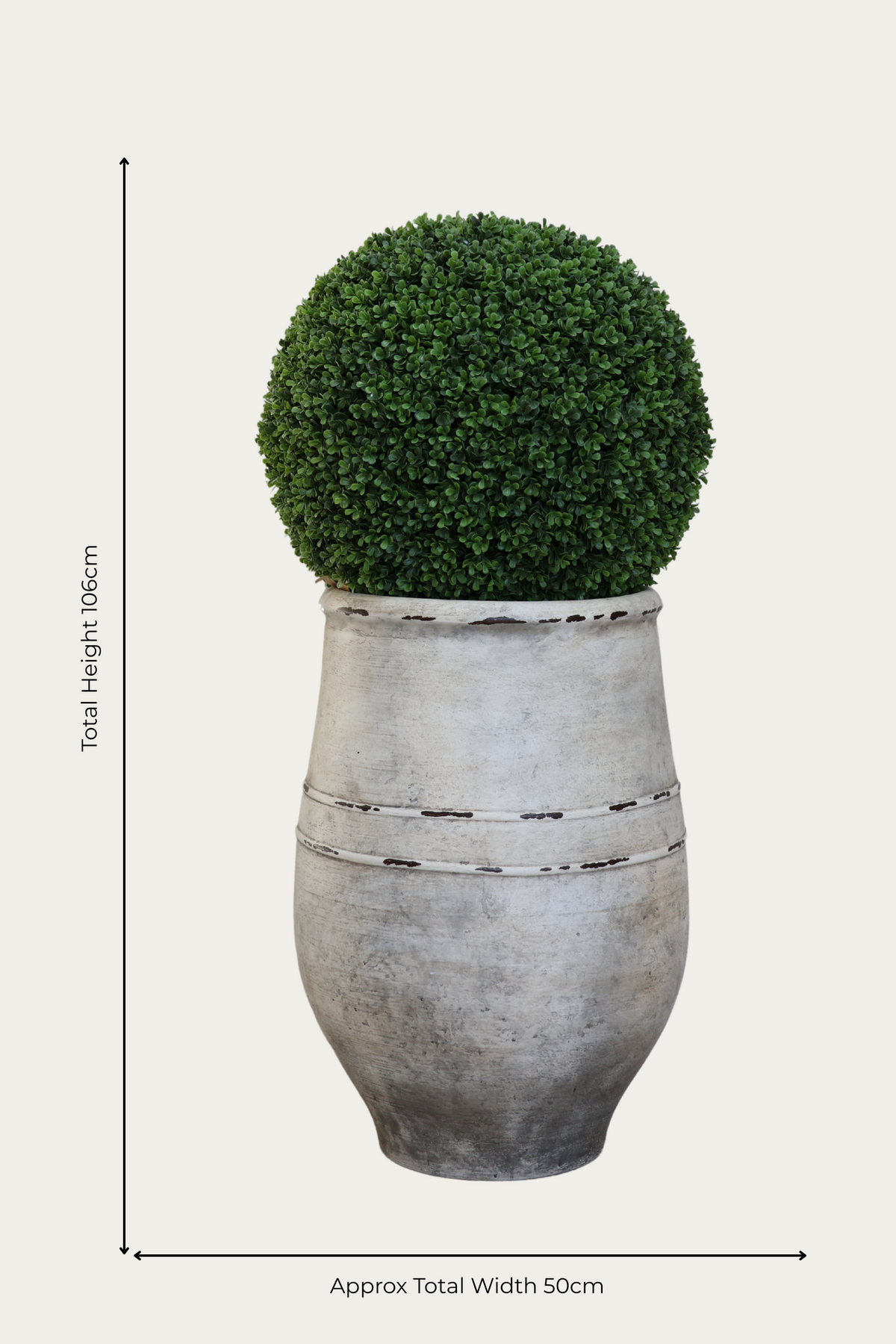  ultra-lite bucklesham planter and buxus ball on white background
