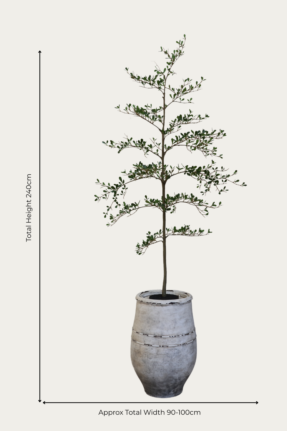  ultra-lite bucklesham planter and shady lady faux tree on white background