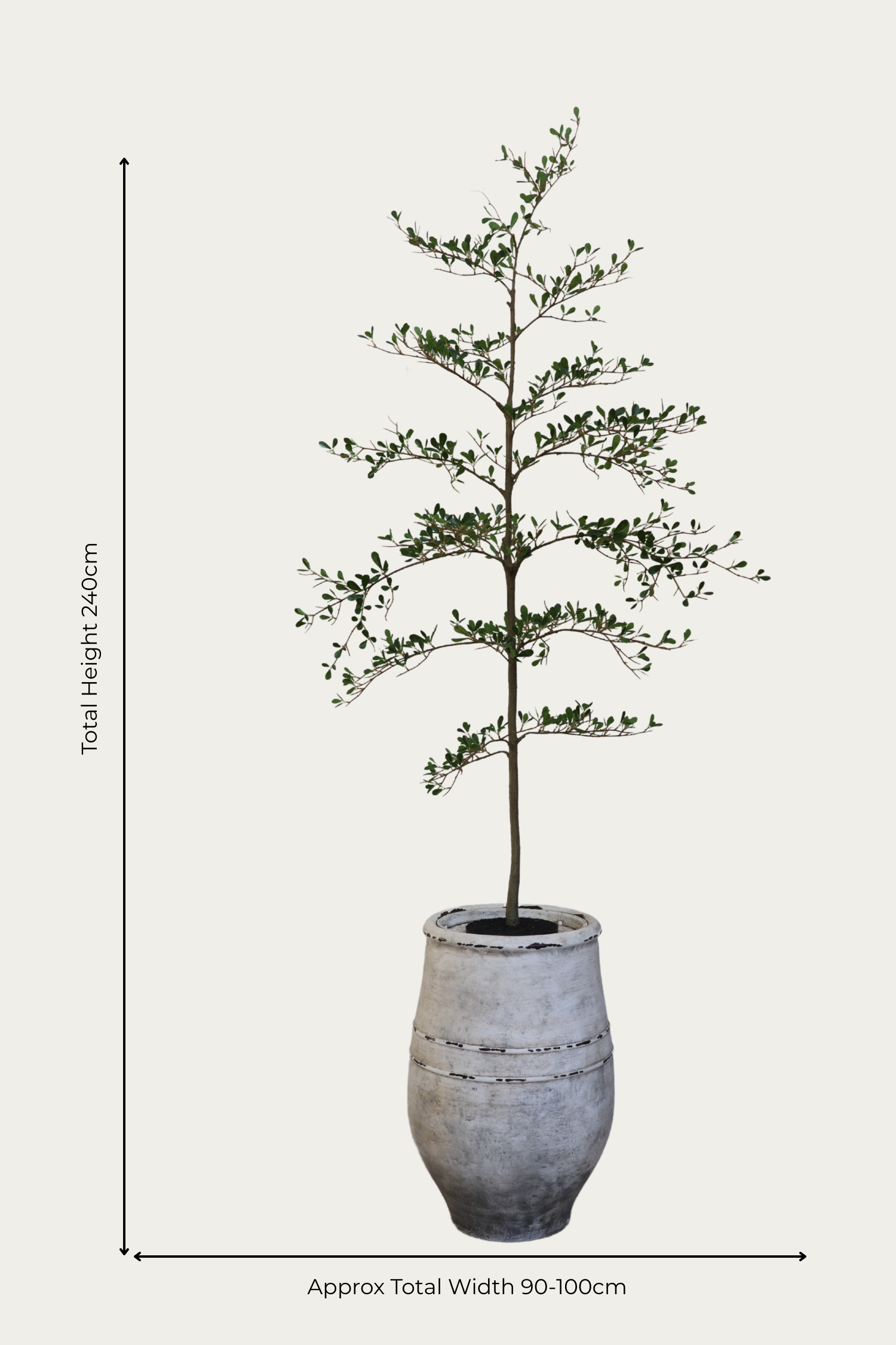  ultra-lite bucklesham planter and shady lady faux tree on white background