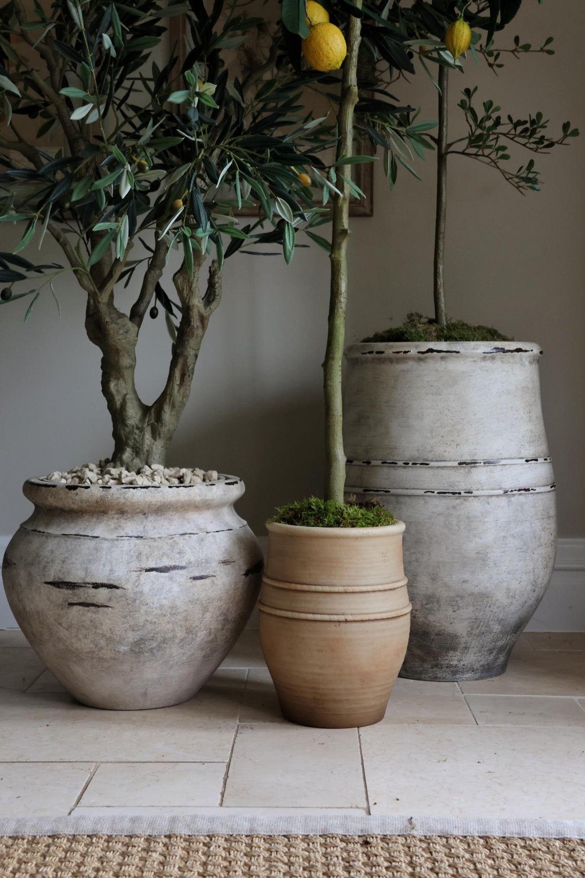  ultra-lite planters range on a tiled surface topped with moss and pebbles 