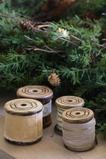 velvet ribbons on wooden spools with green foliage behind 
