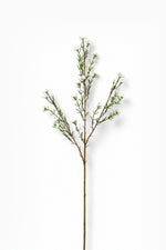 Artificial waxflower branch with small leaves on a white background