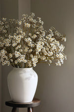 White vase with white daisyflowers on a wooden stool against a plain wall
