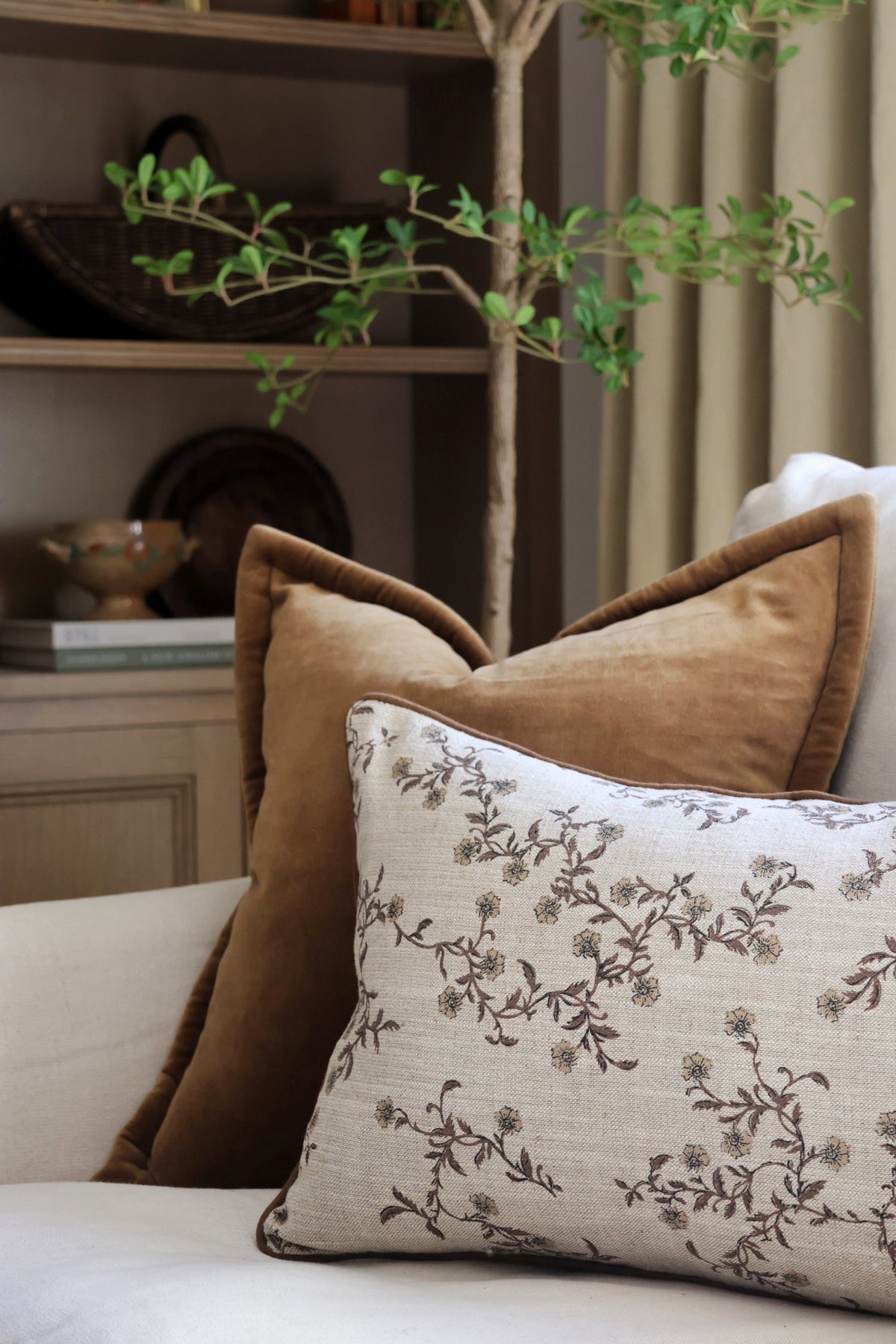 Decorative brown cushions on a sofa with a plant in the background