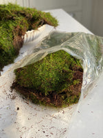 living carpet moss in a plastic recyclable bag on white surface